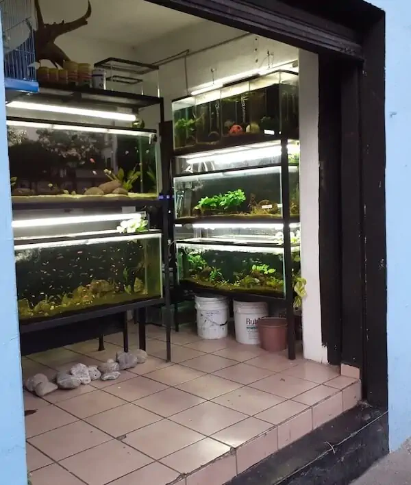 Fachada del acuario AquaMonkey