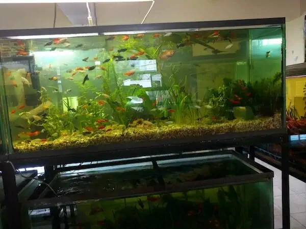 Fachada del acuario Aquario