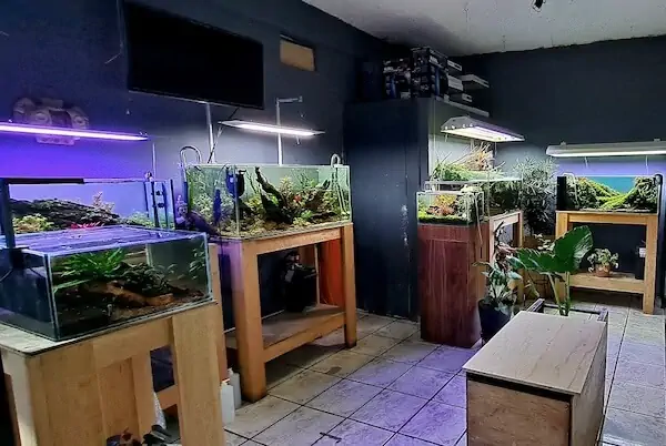Fachada del acuario Aquarium Heckel