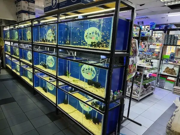Fachada del acuario Aquarium