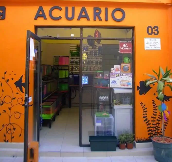 Fachada del acuario Aquatic Shop Acuario