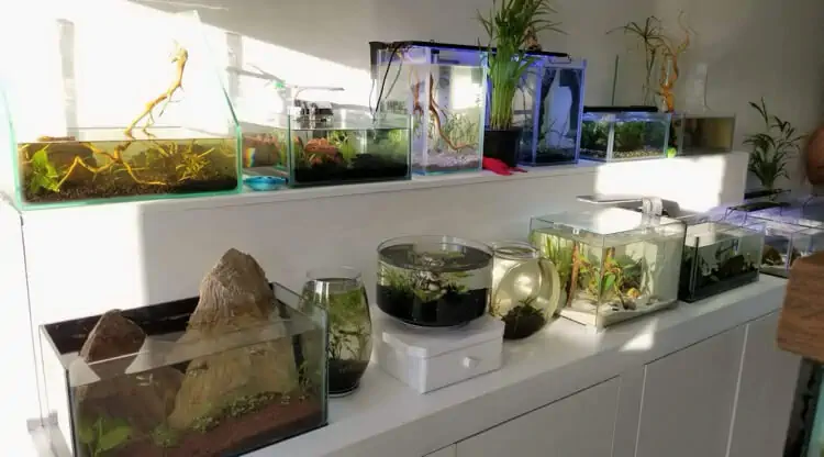 Fachada del acuario Aquatics