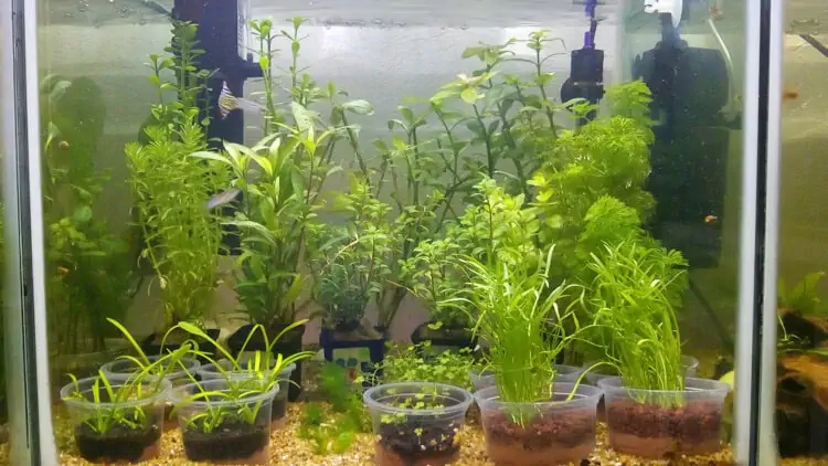 Fachada del acuario Atlántys acuario