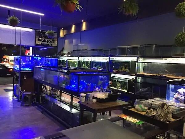 Fachada del acuario Azul Marino Acuario