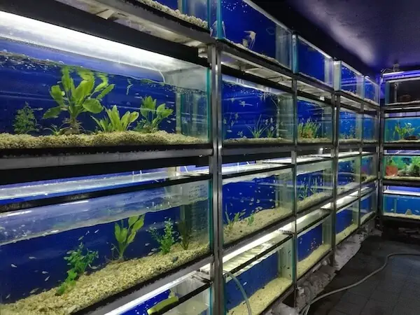 Fachada del acuario Fauna Acuario