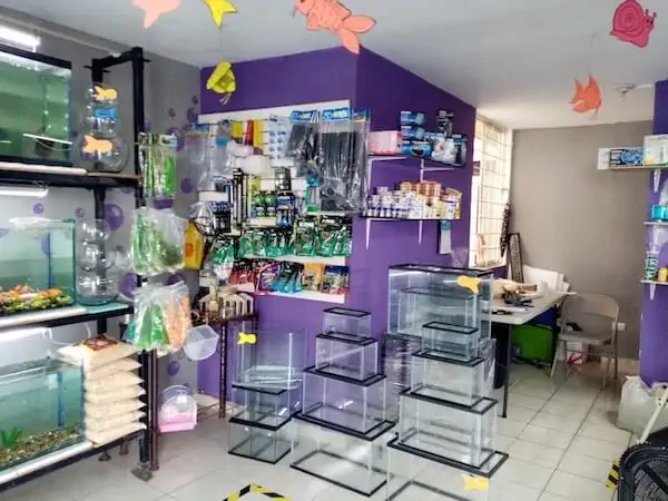 Fachada del acuario Fish Planet Mty