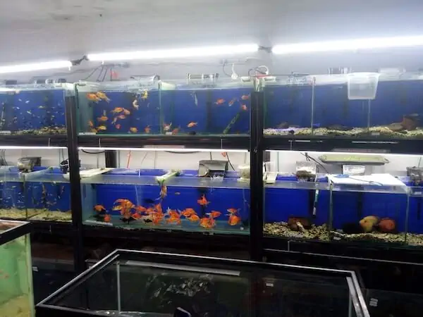 Fachada del acuario La Casa del Pez