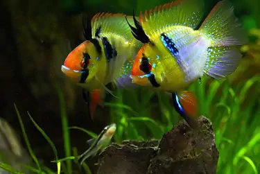Fachada del acuario Life-aquatic