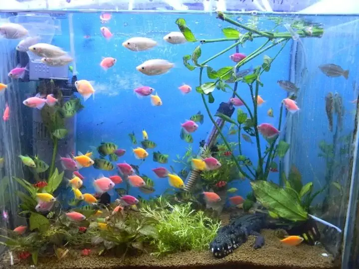 Fachada del acuario Marypez