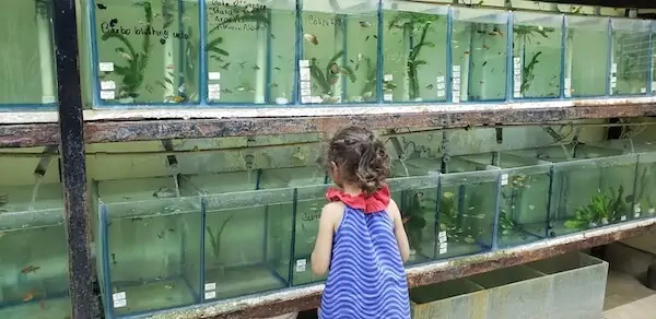 Fachada del acuario Mazcotaz