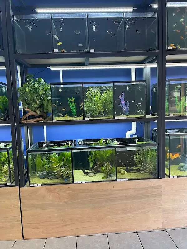 Fachada del acuario Pces Hmo