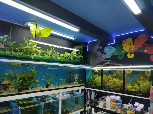 Fachada del acuario Peces Poseídon Charly Vargas
