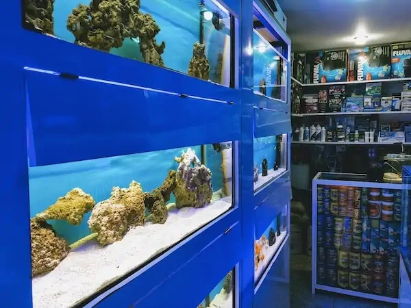 Fachada del acuario Reef Magic México