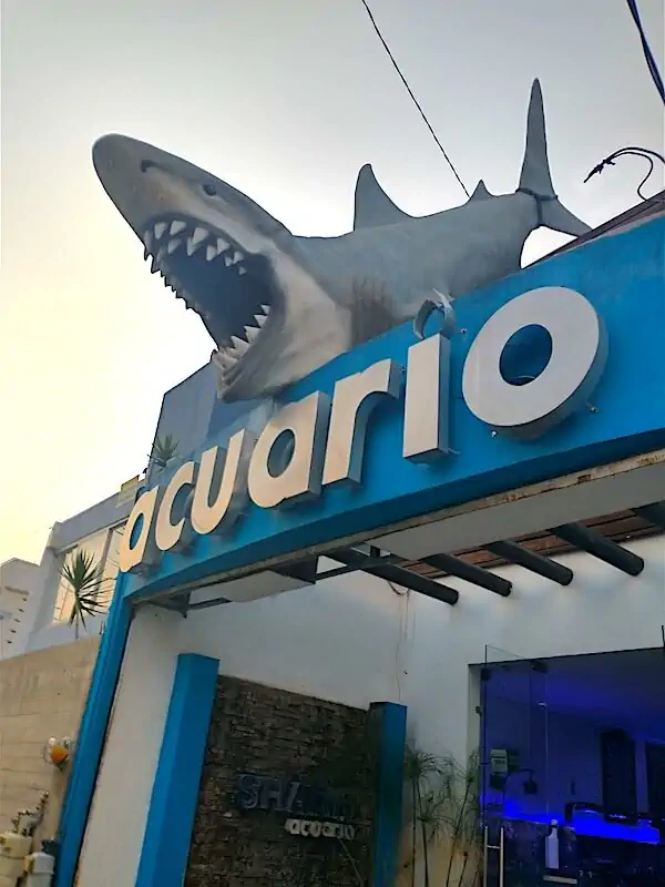 Fachada del acuario Shark Acuario