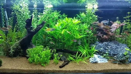 Fachada del acuario Tropical Marin