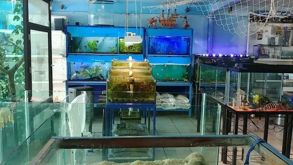 Fachada del acuario Ultramar Acuario