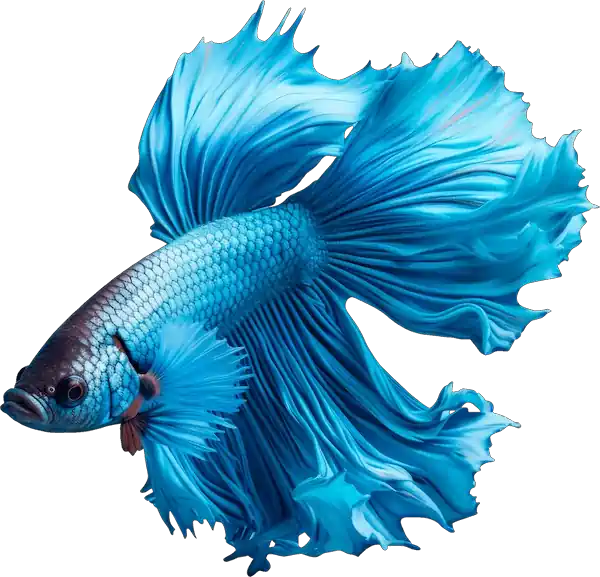 Peces Tropicales