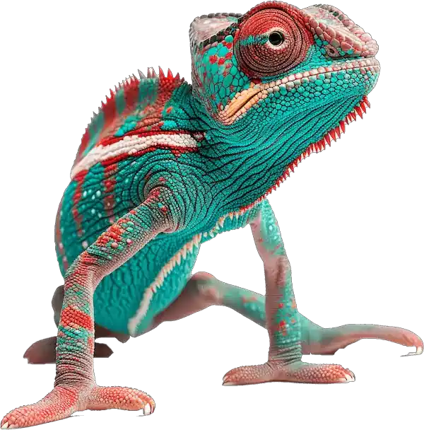 Reptiles y Anfibios