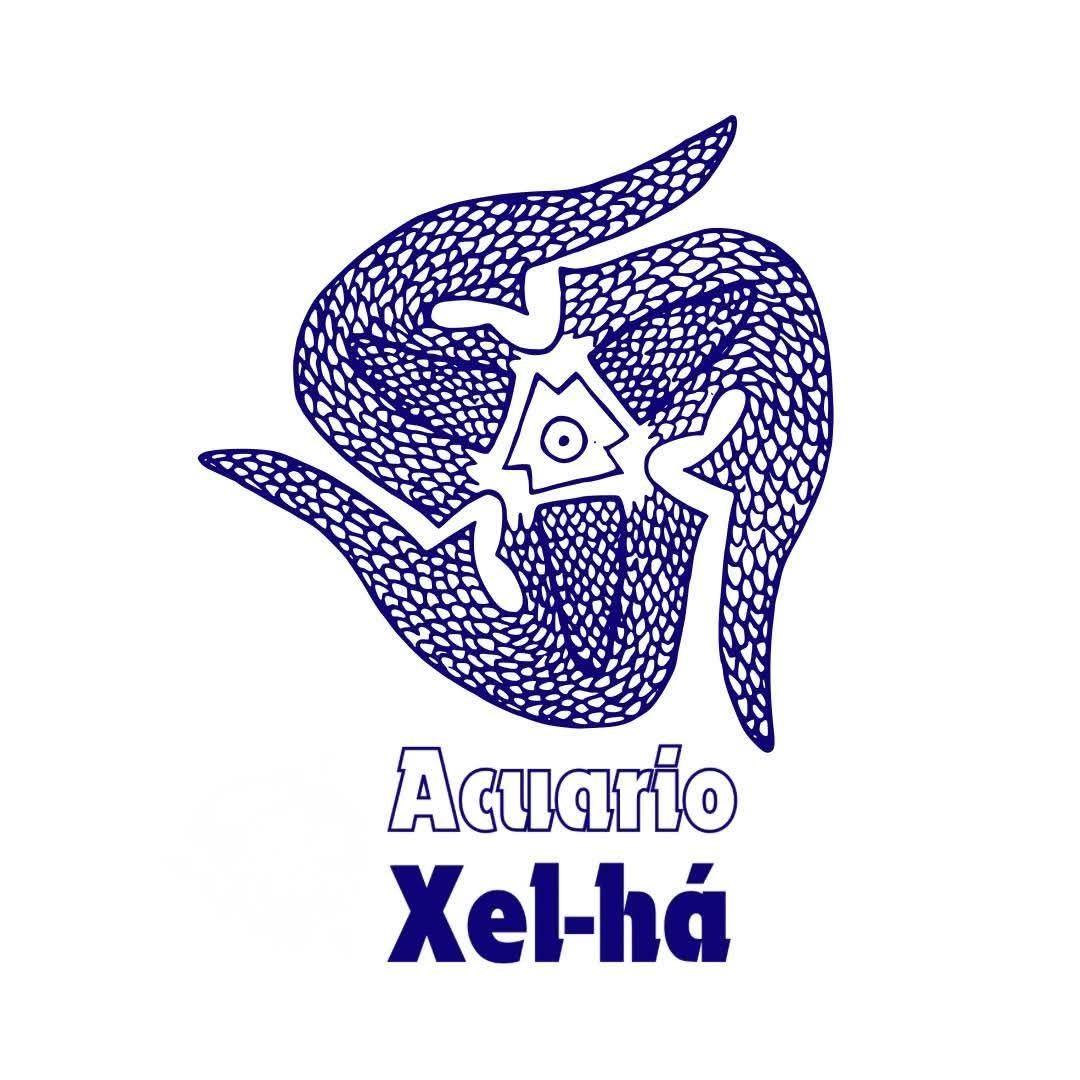 Fachada del acuario Acuario Xel-Há | Expertos en acuarios en Querétaro